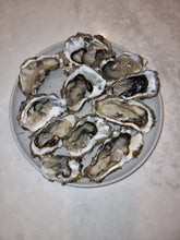 Load image into Gallery viewer, Hamilton Saturday 14 December 2024 delivery - One bag of Fresh as Pacific Oysters
