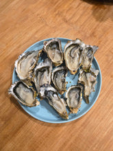 Load image into Gallery viewer, Hamilton Saturday 24 October 2025 delivery - One bag of Fresh as Pacific Oysters
