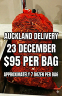 Auckland Tuesday 23 December 2025 - One bag of Fresh as Pacific Oysters