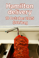 Hamilton Saturday 18 October 2025 delivery - One bag of Fresh as Pacific Oysters