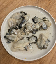Load image into Gallery viewer, Hamilton Saturday 24 October 2025 delivery - One bag of Fresh as Pacific Oysters
