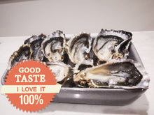 Load image into Gallery viewer, North Shore, West and Central Auckland 22 December Sunday night delivery - One bag of Fresh as Pacific Oysters
